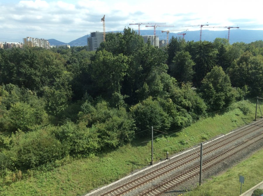 99623B05-C5ED-4EA9-A2AF-7790938F7583.jpeg