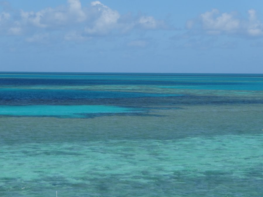 9ED1B61D-1982-4529-B22C-5B1B1B2B5A87.jpeg