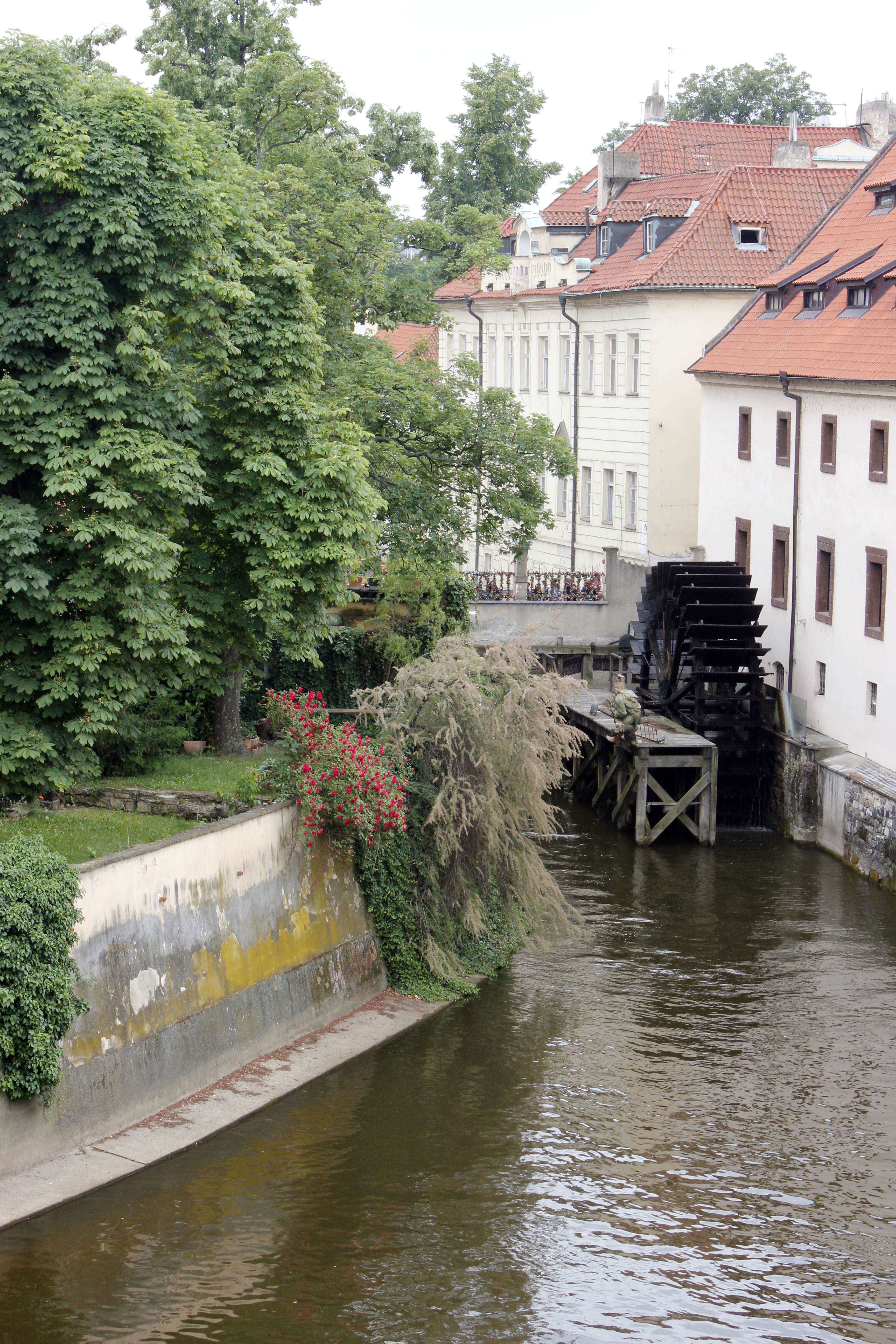 _MG_7312.JPG