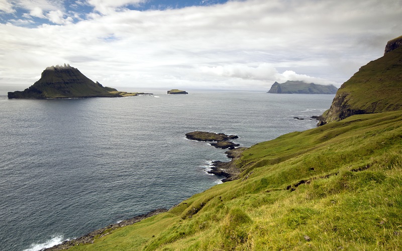 _R9A3556.jpg