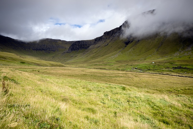 _R9A3584.jpg