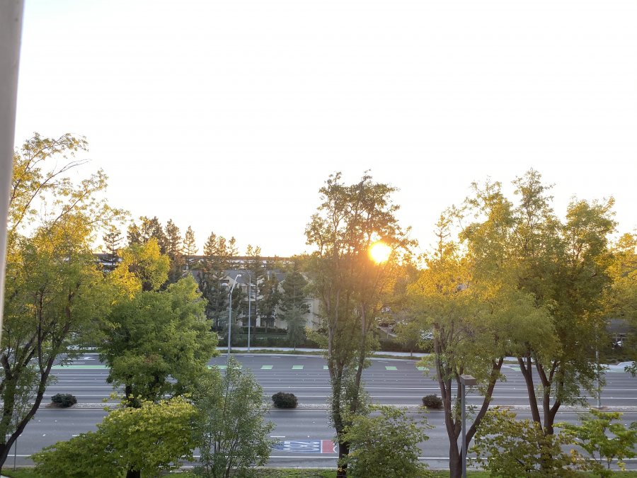 A0D7DB29-3929-4168-BF41-D9660477E425.jpeg
