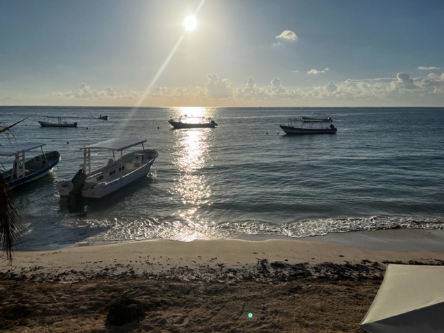 A5E54C18-3488-4D0E-B6AC-70052BE02506.jpeg