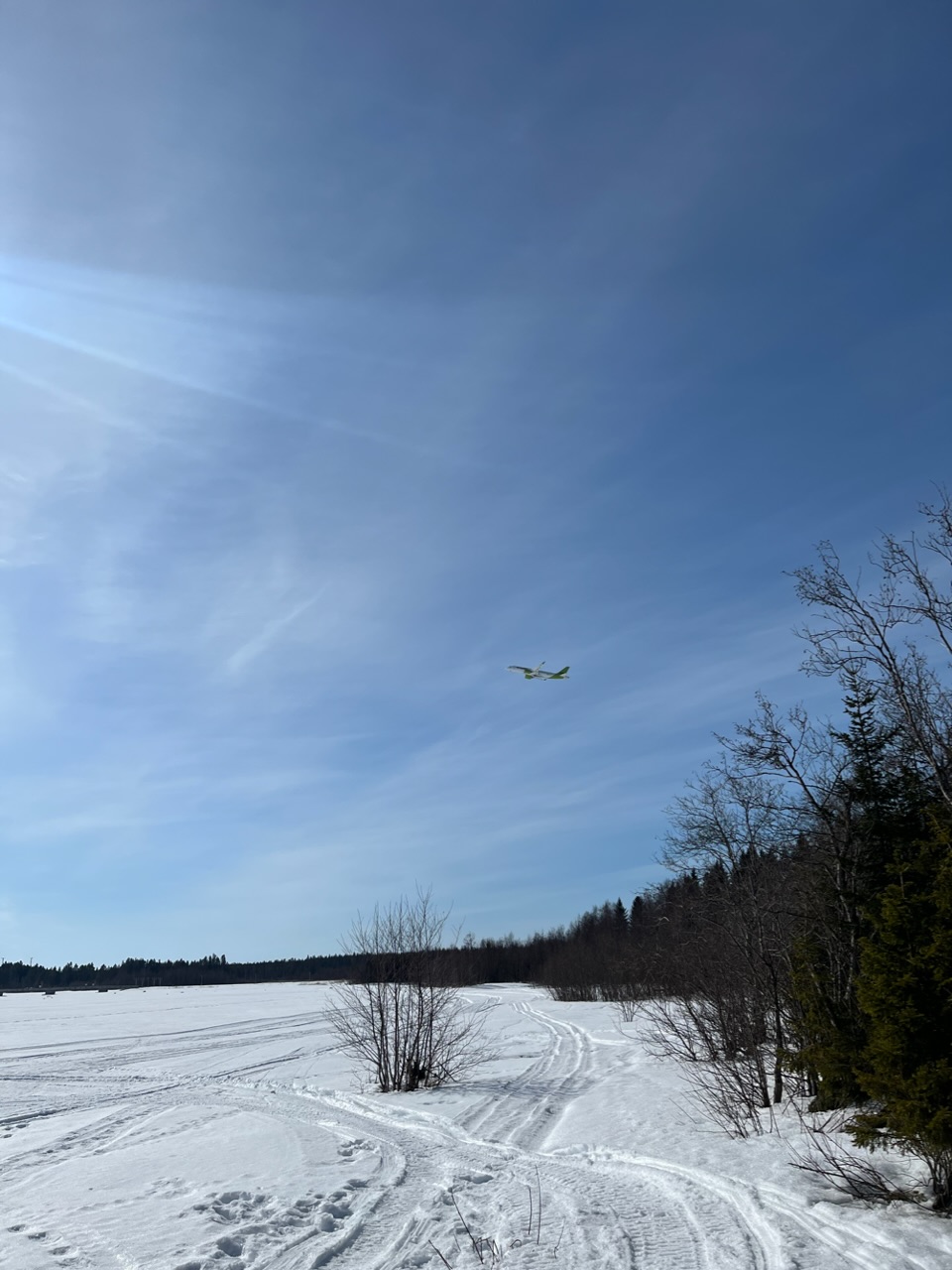 AA681E91-51E4-4963-BA76-BA54C4D7D3C5.jpeg