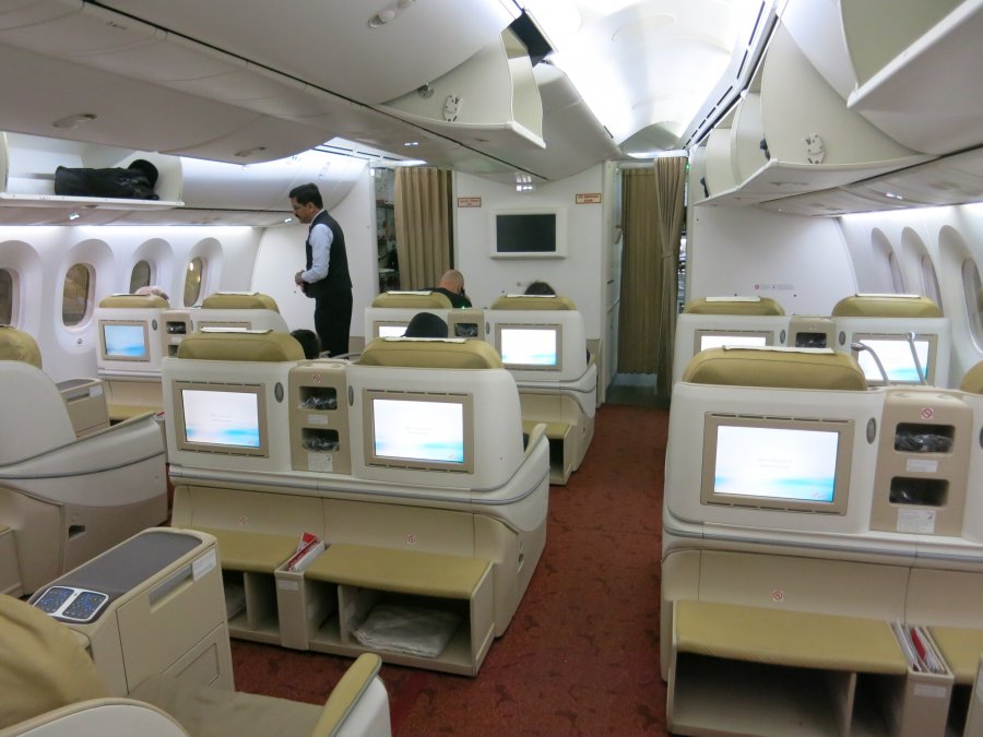 Air India Business Boeing 787 ARN-DEL, 02.JPG