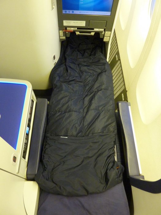 ANA Business NRT-SIN Boeing 777, 19.JPG