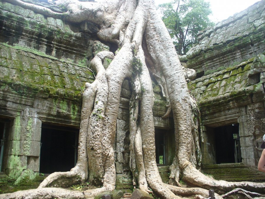 Angkor Wat 6.jpg