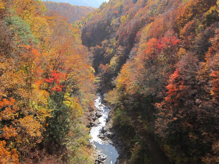 autumn-999340_1920.jpg