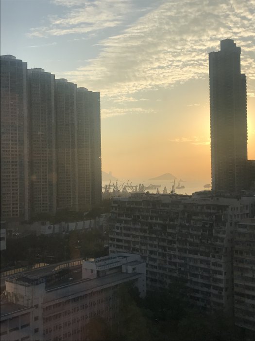 B0429779-BF28-4BD9-A91F-E51780145055.jpeg