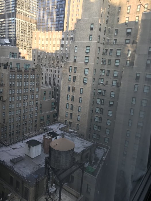 B5AD6CB0-3386-4937-91B0-A25C6A2696B9.jpeg