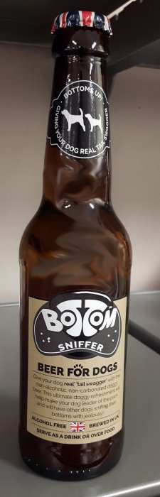 Beer for dogs 3.jpg