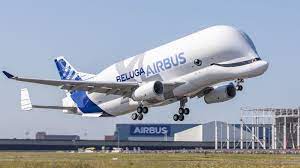 Beluga.jpg