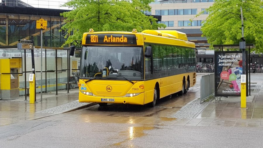 Buss.jpg