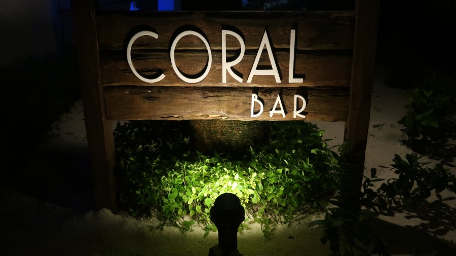 CoralBar.JPG