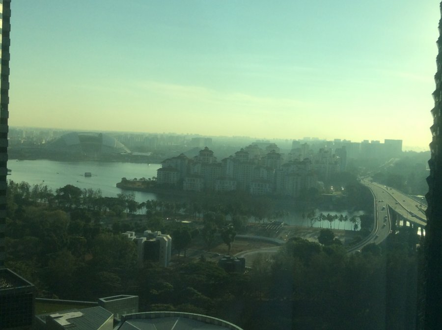 D013DCAD-5F06-4227-B055-D1E0363B1767.jpeg