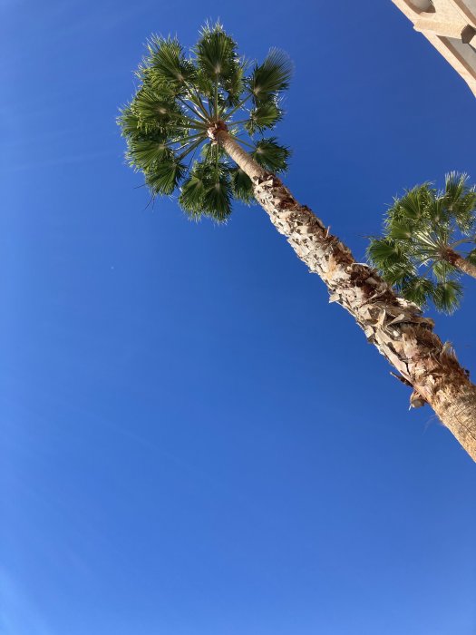 D1112375-07DE-4F31-909F-7B9AE5530106.jpeg