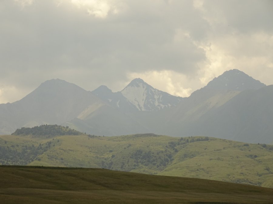DSC00572.JPG