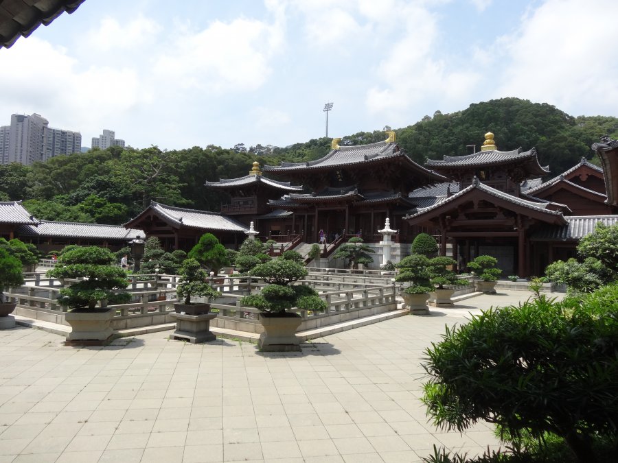 DSC06222.JPG