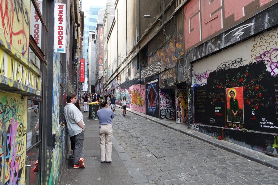 DSC08923.JPG