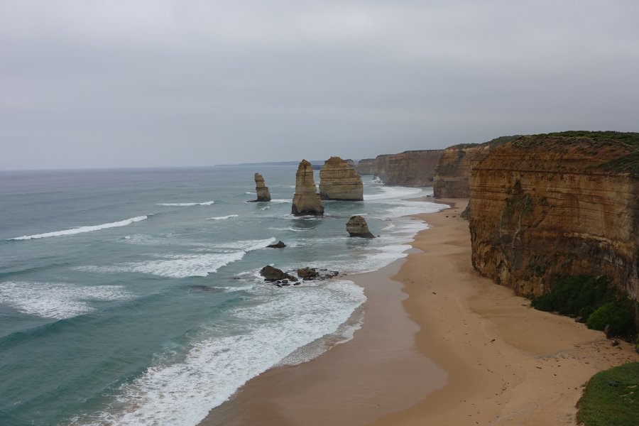 DSC08942.JPG