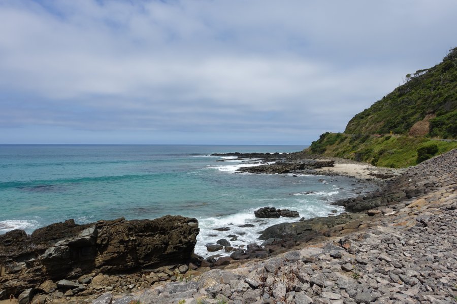 DSC08958.JPG