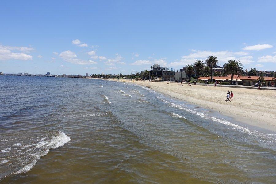 DSC08977.JPG