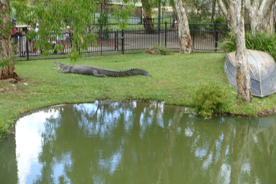 DSC09031.JPG