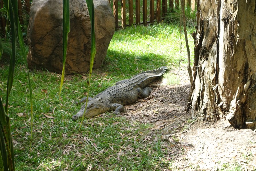 DSC09032.JPG