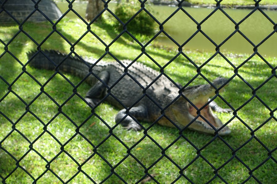 DSC09033.JPG