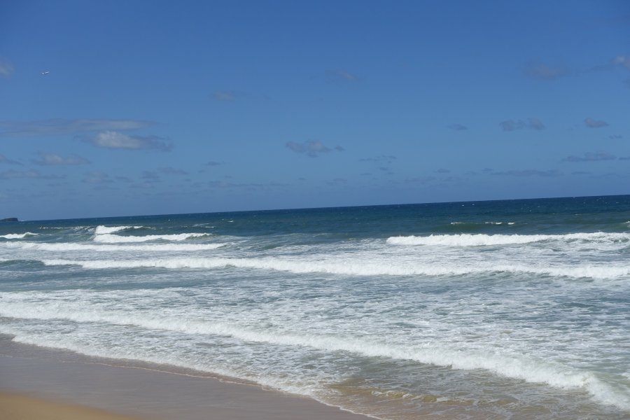 DSC09042.JPG