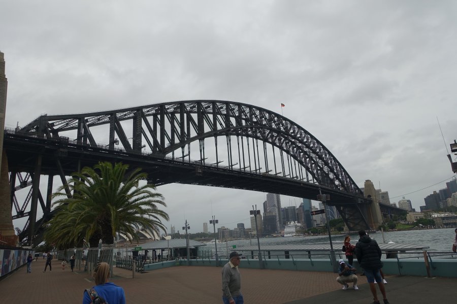DSC09090.JPG