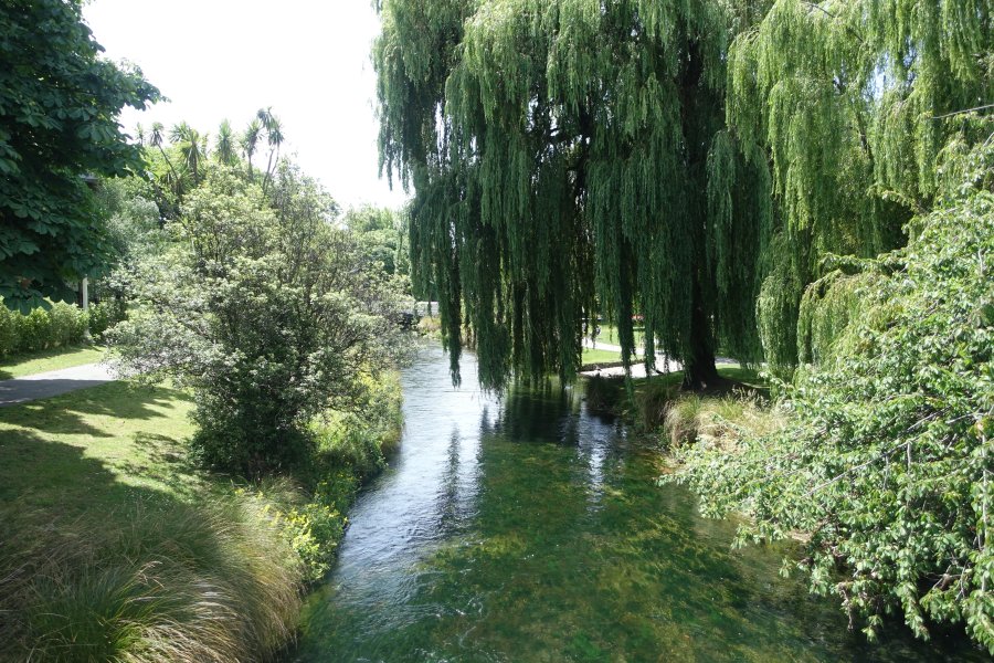 DSC09204.JPG