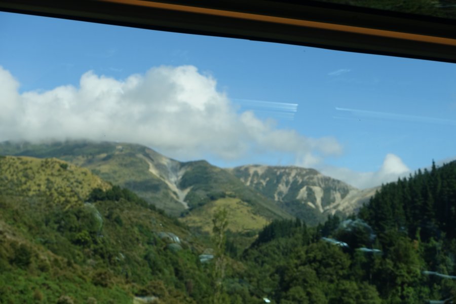 DSC09247.JPG