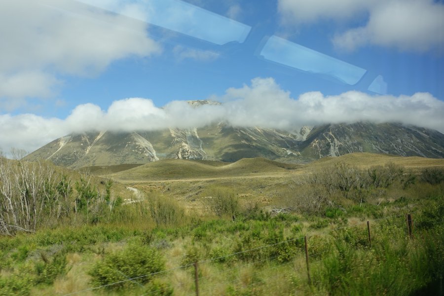 DSC09261.JPG