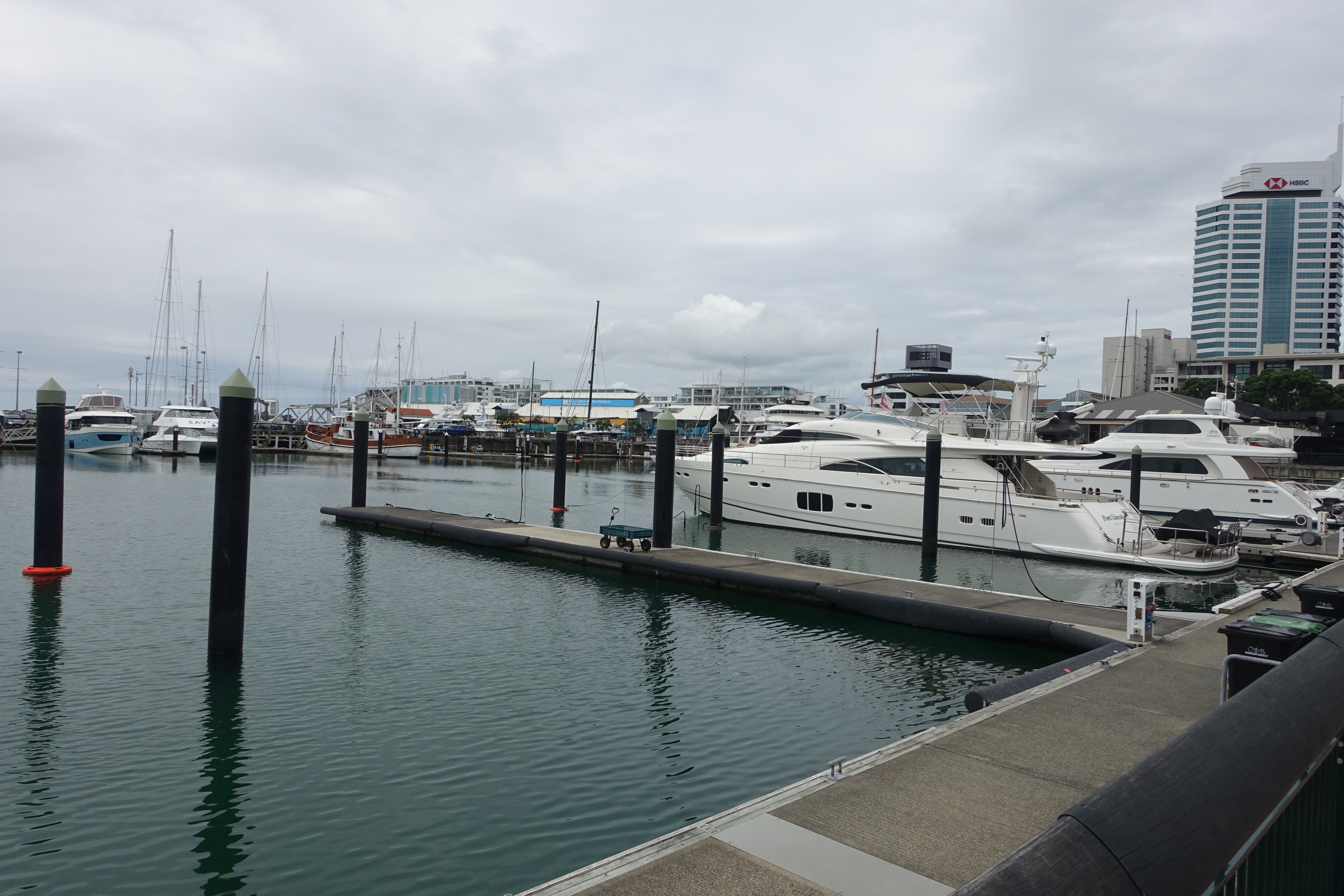 DSC09672.JPG