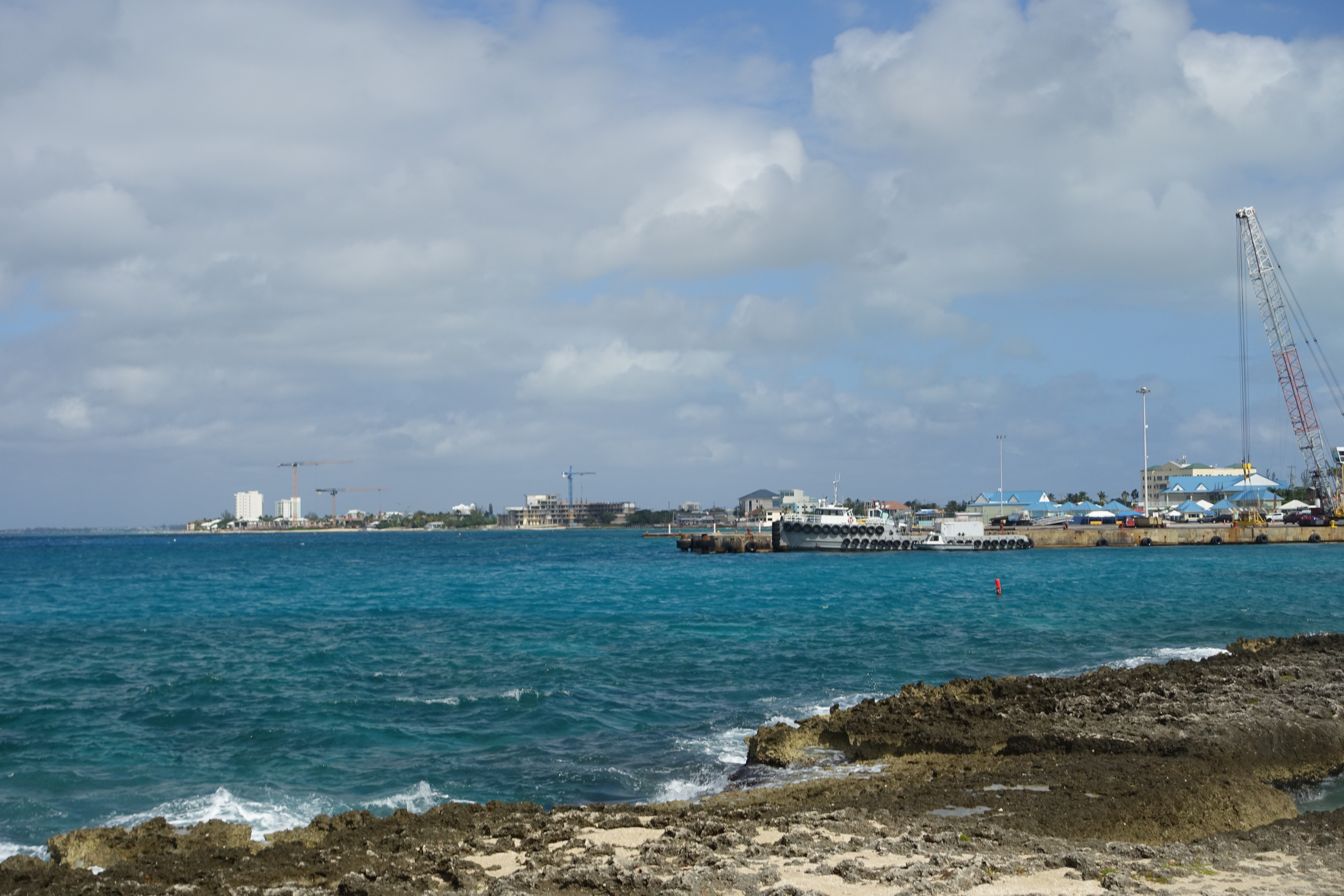 DSC09878.JPG