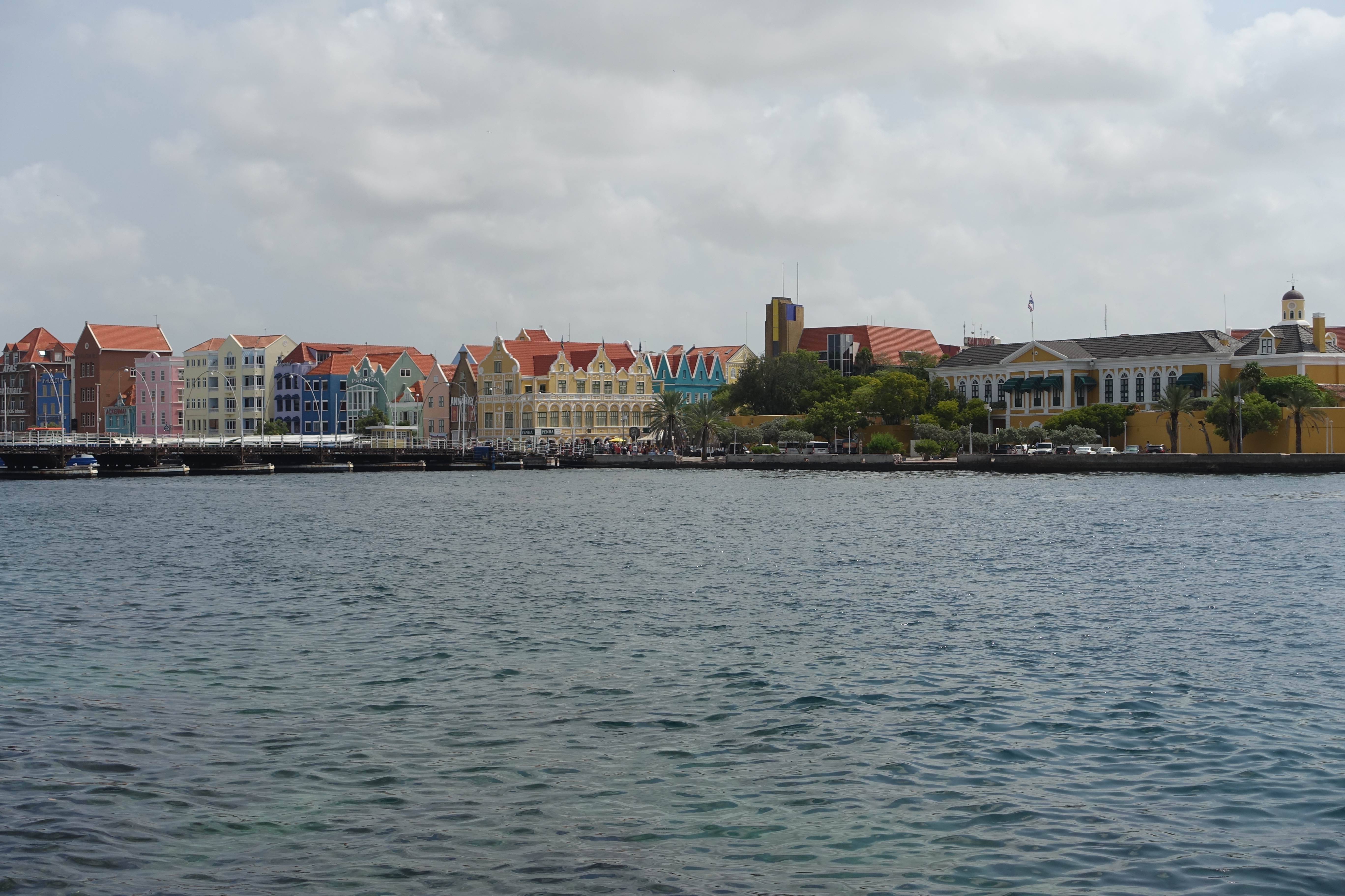 DSC09937.JPG