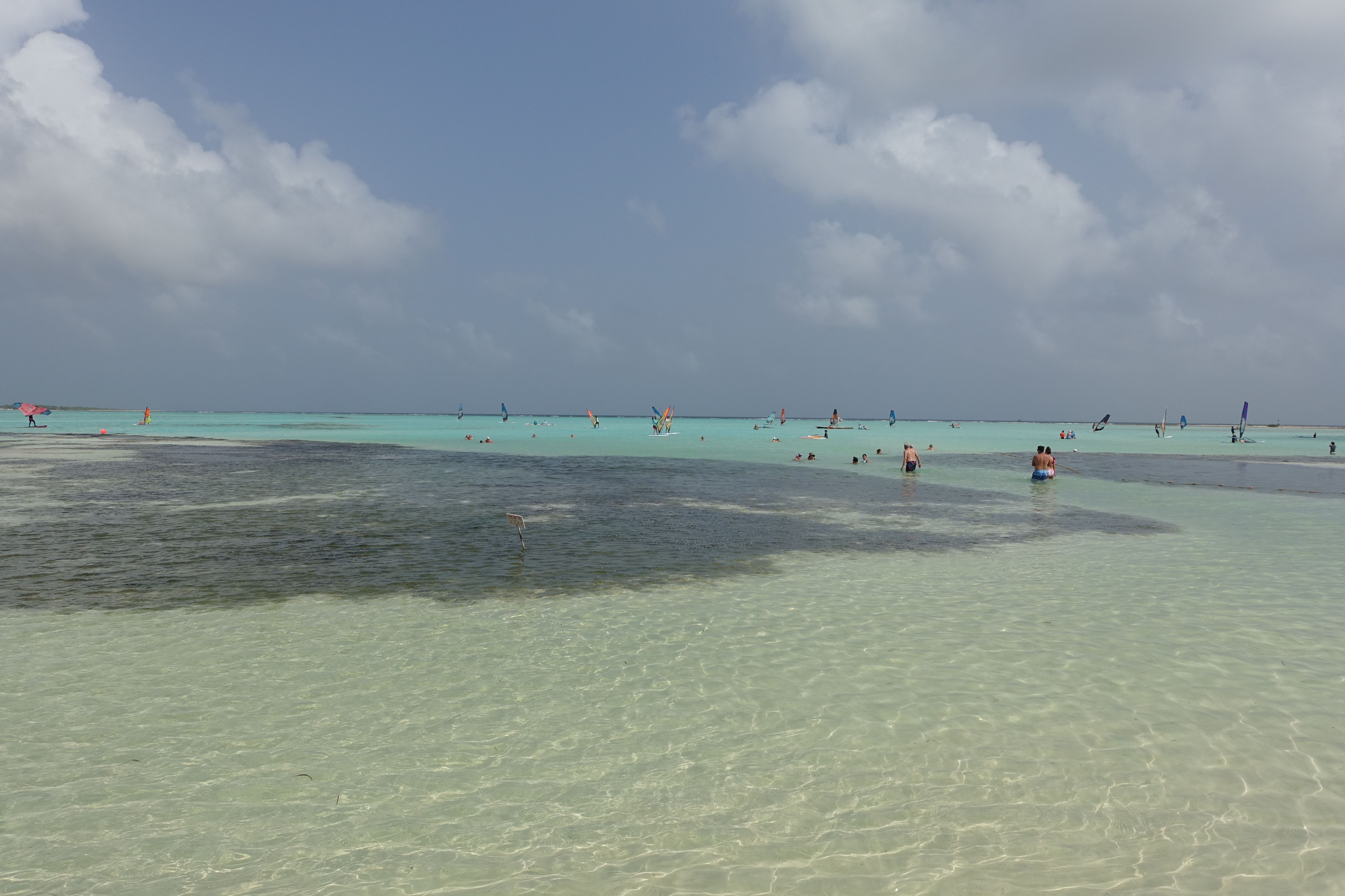 DSC09966.JPG