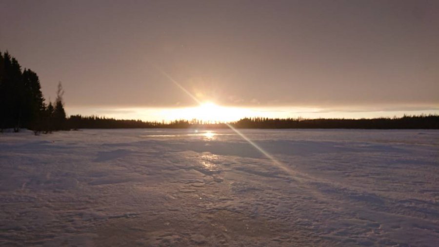 DSC_0009.jpg