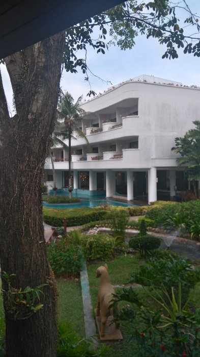 DSC_0016.JPG