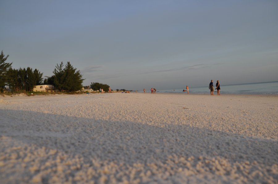 DSC_0046.JPG