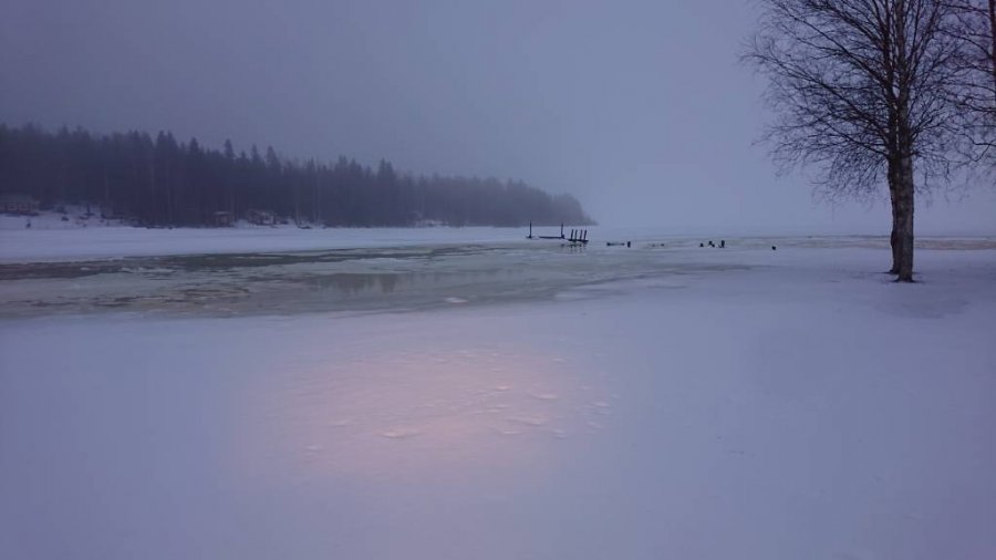 DSC_0068.jpg