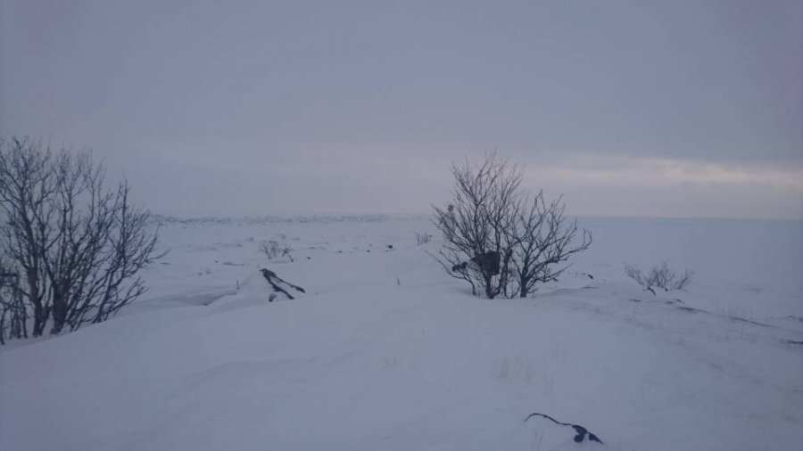 DSC_0073.JPG