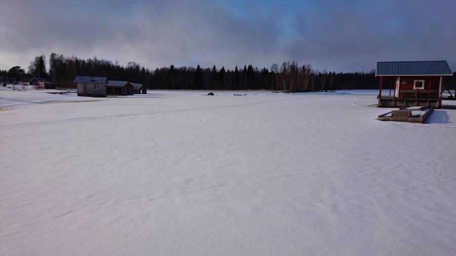 DSC_0142.jpg
