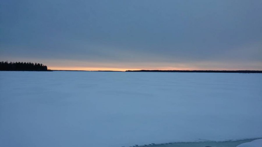 DSC_0173.jpeg