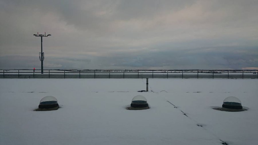 DSC_0244.jpeg