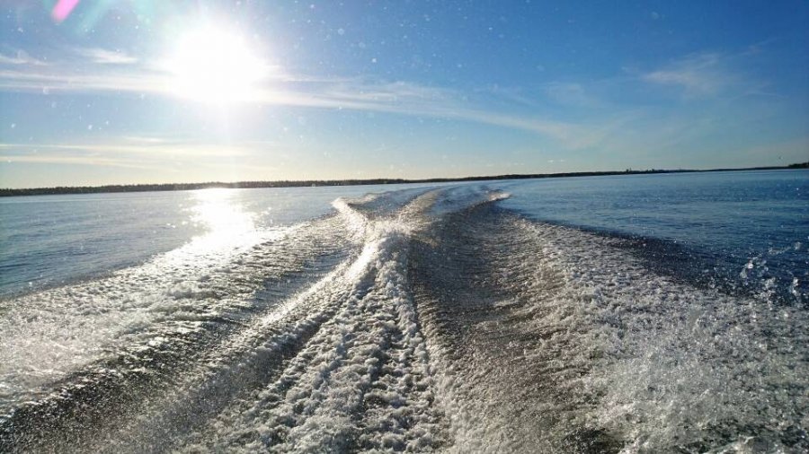 DSC_0270.JPG