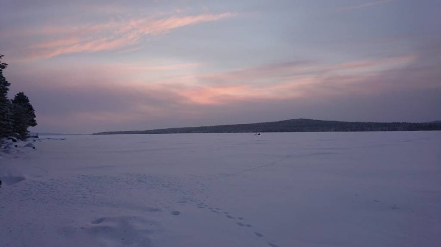 DSC_0303.jpeg