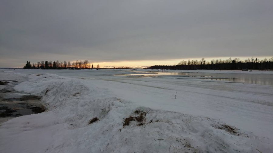 DSC_0321.jpg