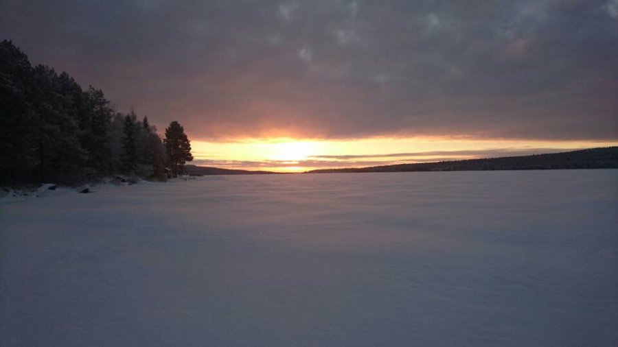DSC_0551.JPG